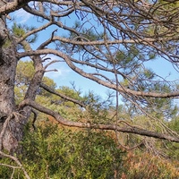 Photo de France - Saint-Guilhem-le-Désert